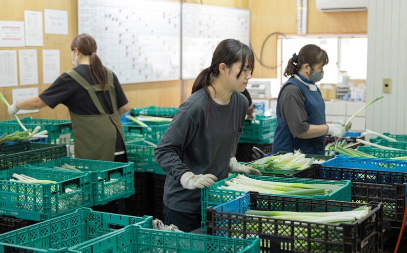 千葉県旭市の長ネギとお米を栽培する石橋農園の工場内