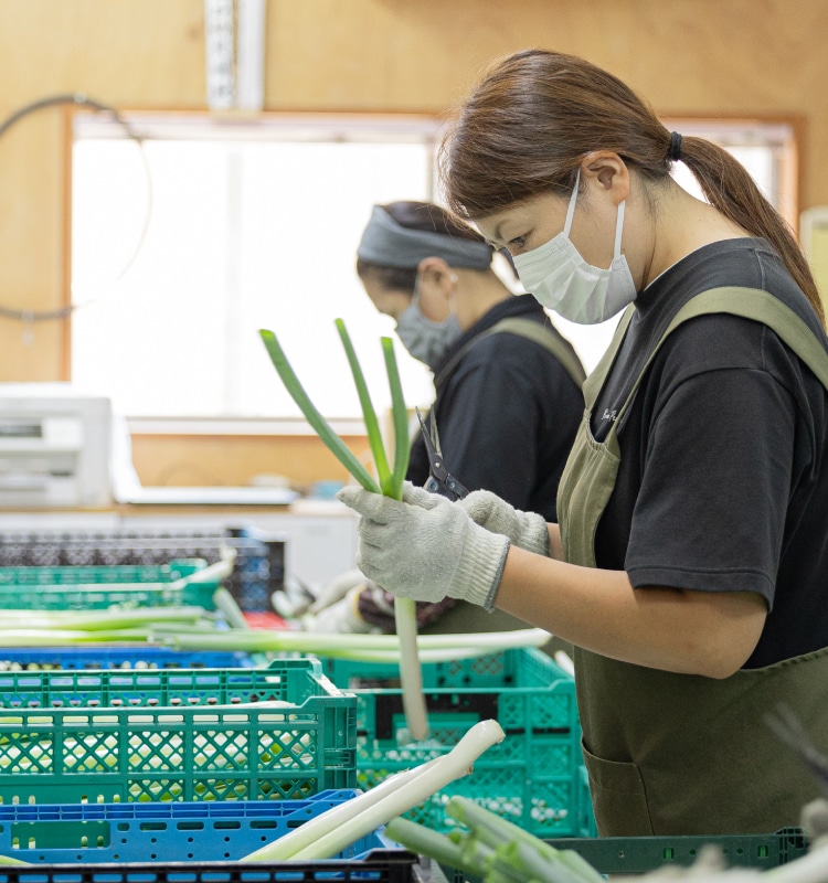 石橋農園作業現場