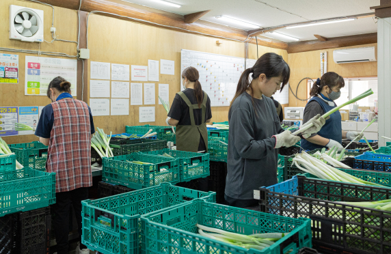 千葉県旭市の長ネギとお米を栽培する石橋農園の工場内